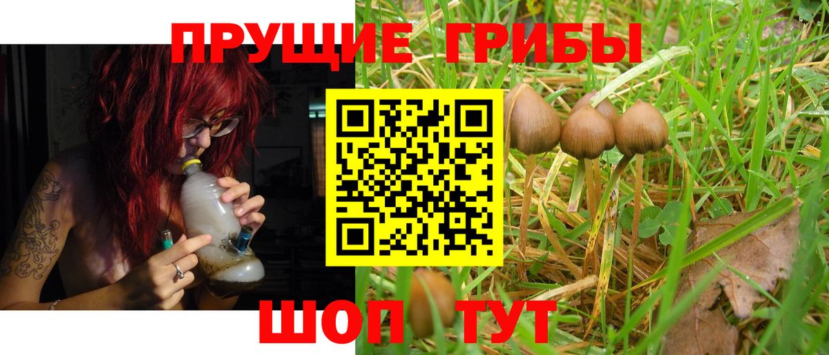 Жуковский  Псилоцибиновые грибы GOLDEN TEACHER  Галлюциногенные грибы прущие грибы  закладка  Вход с VPN 